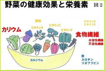 図2野菜の健康効果と栄養素.JPG