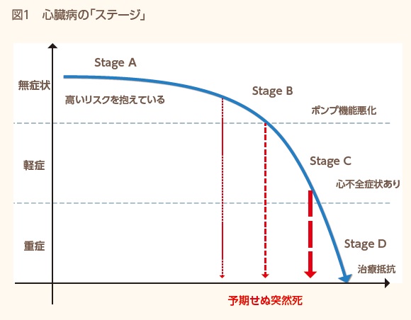 心臓を長持ちさせる秘訣って なに 今月のトピックス 公益財団