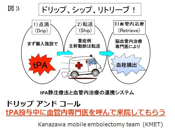 脳血管障害を究める 耳よりな情報教えます! Amazon.co.jp: 心筋梗塞 脳梗塞 動脈硬化を防ぐ 血管を
