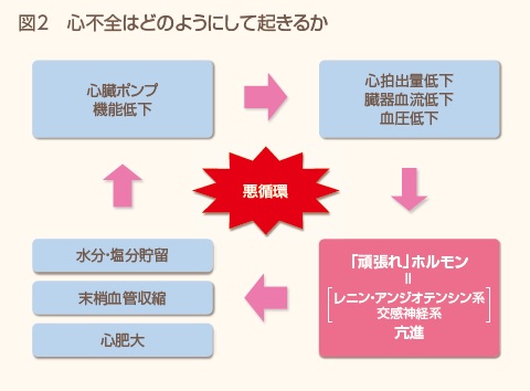 心臓病は食生活で治す 心臓病は食生活で治す | C・B・エセルスティン, 松田 麻美子 |本
